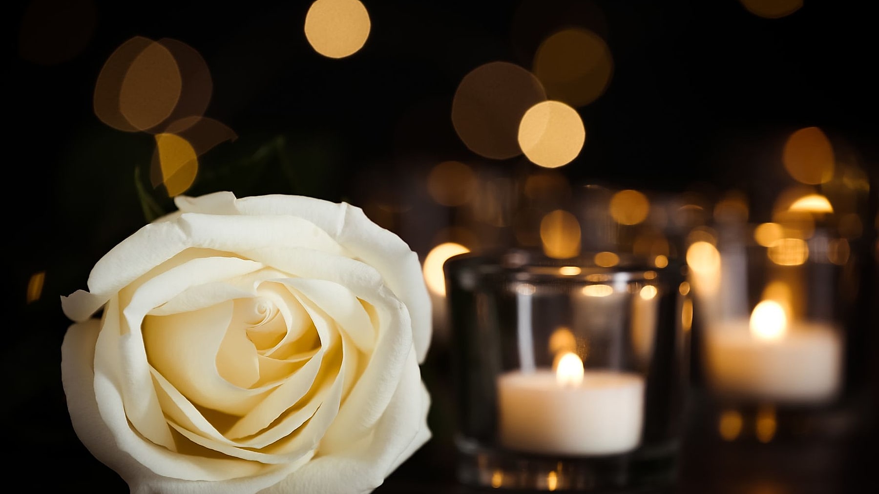 Una rosa bianca accanto a due ceri accesi