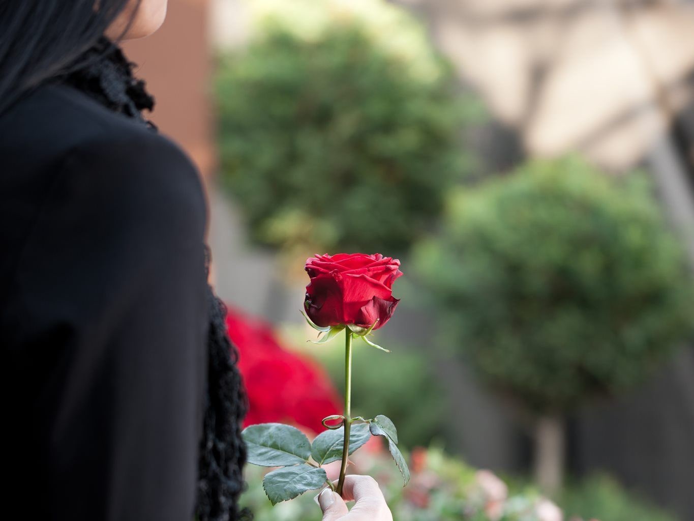 Una donna in abito scuro posa una rosa rossa accanto al feretro